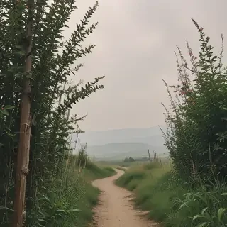 border aesthetic