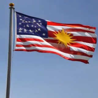 phil flag png