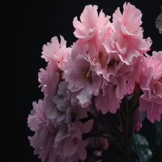 wallpapers black aesthetic