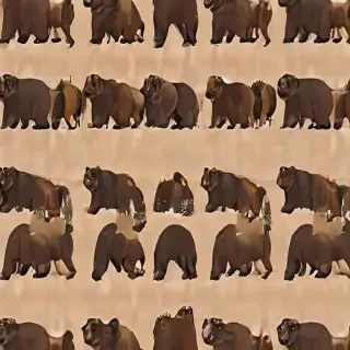 bear background