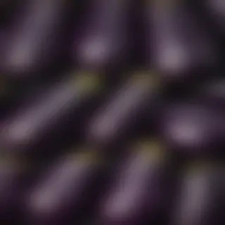 eggplant png