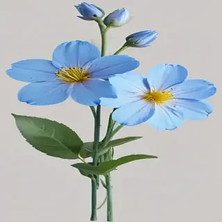 blue flowers png