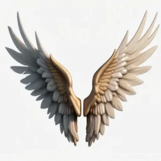 wings transparent background