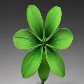green flower png
