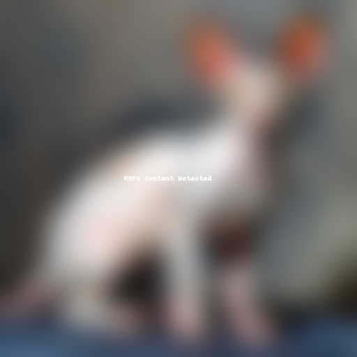 cornish rex cat breed