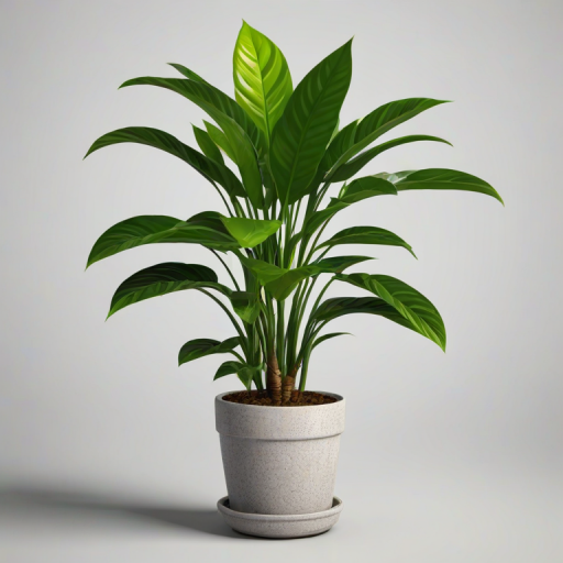 potted plant png