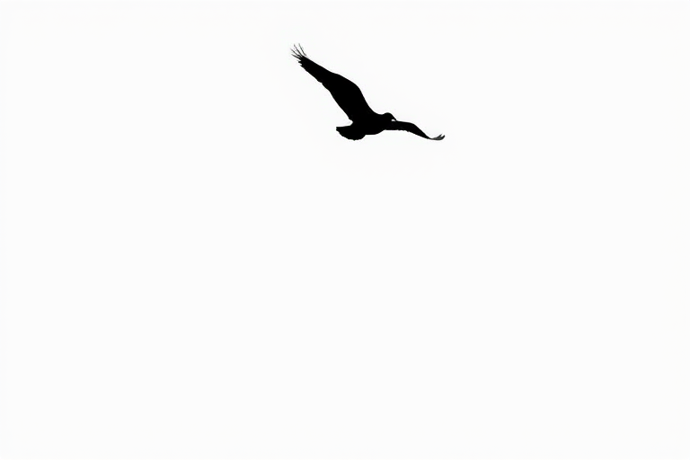 Create a high-resolution image of a simplistic black silhouette of a bird in flight against a white background, using a Canon EOS R5 camera with a 50mm f/1.2 lens, ISO 100, aperture f/8, and a shutter speed of 1/500s, captured from a slight low angle to accentuate the bird's wingspan.