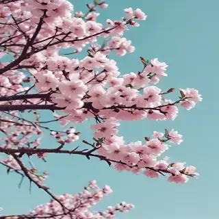 spring desktop wallpaper aesthetic