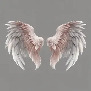 wings transparent background