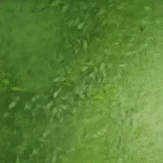 green textures