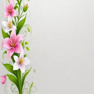 transparent flower border