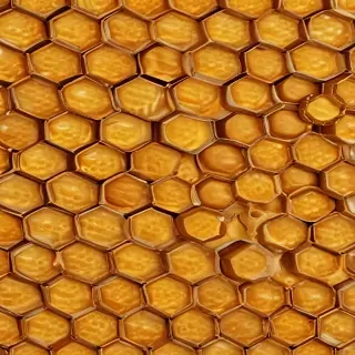 honeycomb png