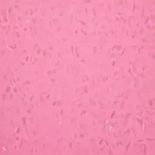 pink zoom background