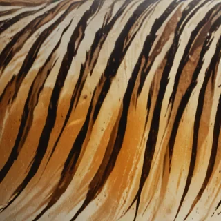 tiger stripes png