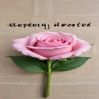 speedy recovery images
