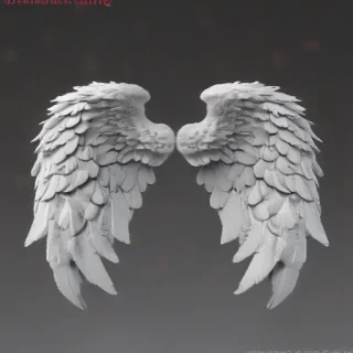 angel wings png