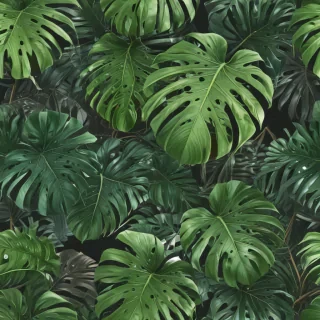 aesthetic monstera wallpaper