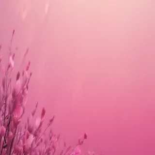 cool pink background