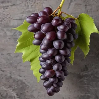 grapes png