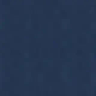navy light blue background