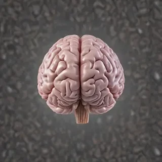 brain transparent background