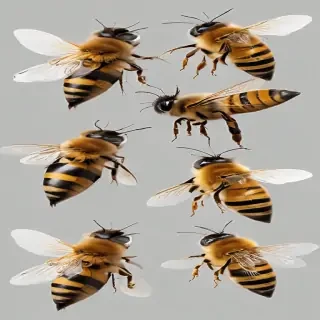 bees png