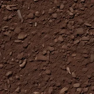 soil png
