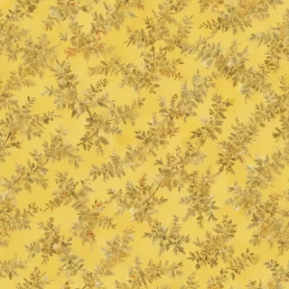 plain yellow bg