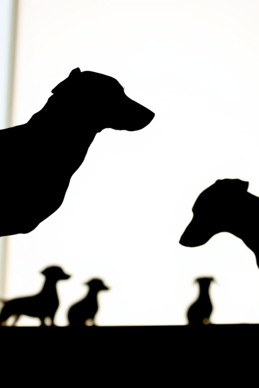 Dachshund silhouettes in a minimalist style, focus on playful posture, soft natural lighting, aperture f/4, shutter speed 1/200s, ISO 200, shot using a DSLR camera from a low angle to capture dynamic outlines.