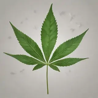 weed leaf png