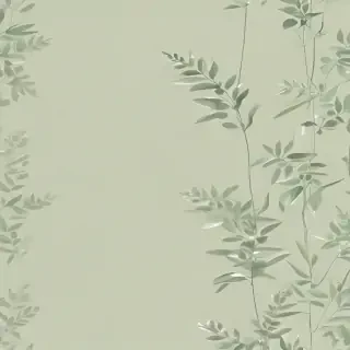 light sage green background