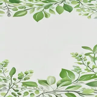 background white and green