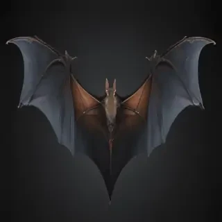 bat wings png