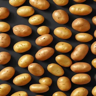 potato transparent background