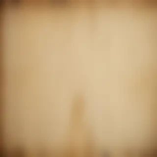 grunge paper texture
