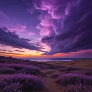 purple sky wallpaper