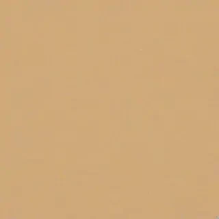 beige plain background
