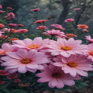 iphone backgrounds flowers