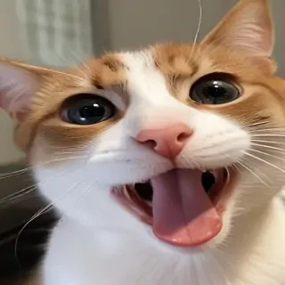 funny face