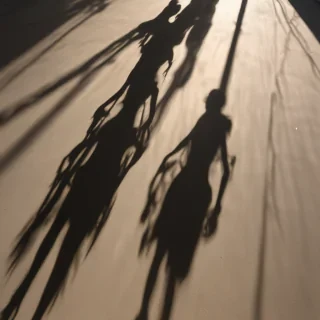 shadow transparent