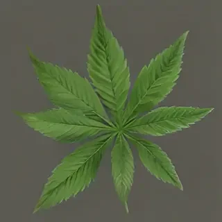 pot leaf png