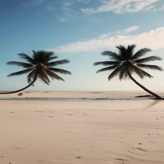 beach backgrounds for phone