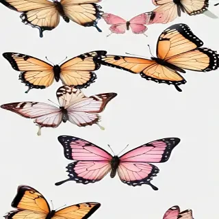 butterfly background transparent