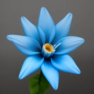 blue flower