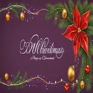 png merry christmas
