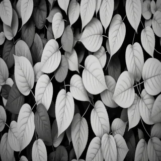 leaves black and white