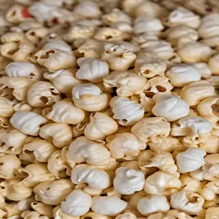 png popcorn