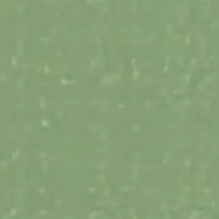 plain green bg