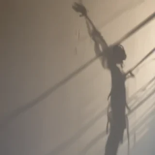 shadow wallpaper