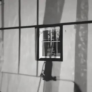 window shadow